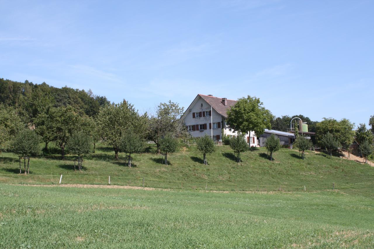 Bnb Im Waldhof Bachenbulach Bagian luar foto