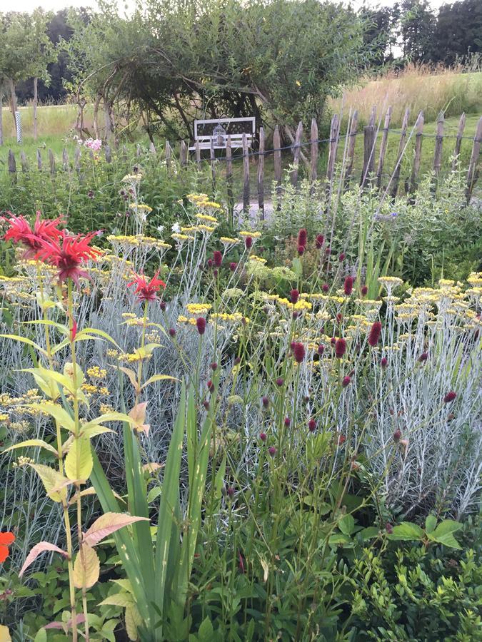Bnb Im Waldhof Bachenbulach Bagian luar foto